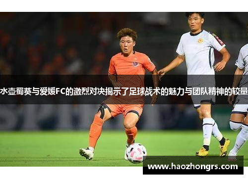 水壶蜀葵与爱媛FC的激烈对决揭示了足球战术的魅力与团队精神的较量